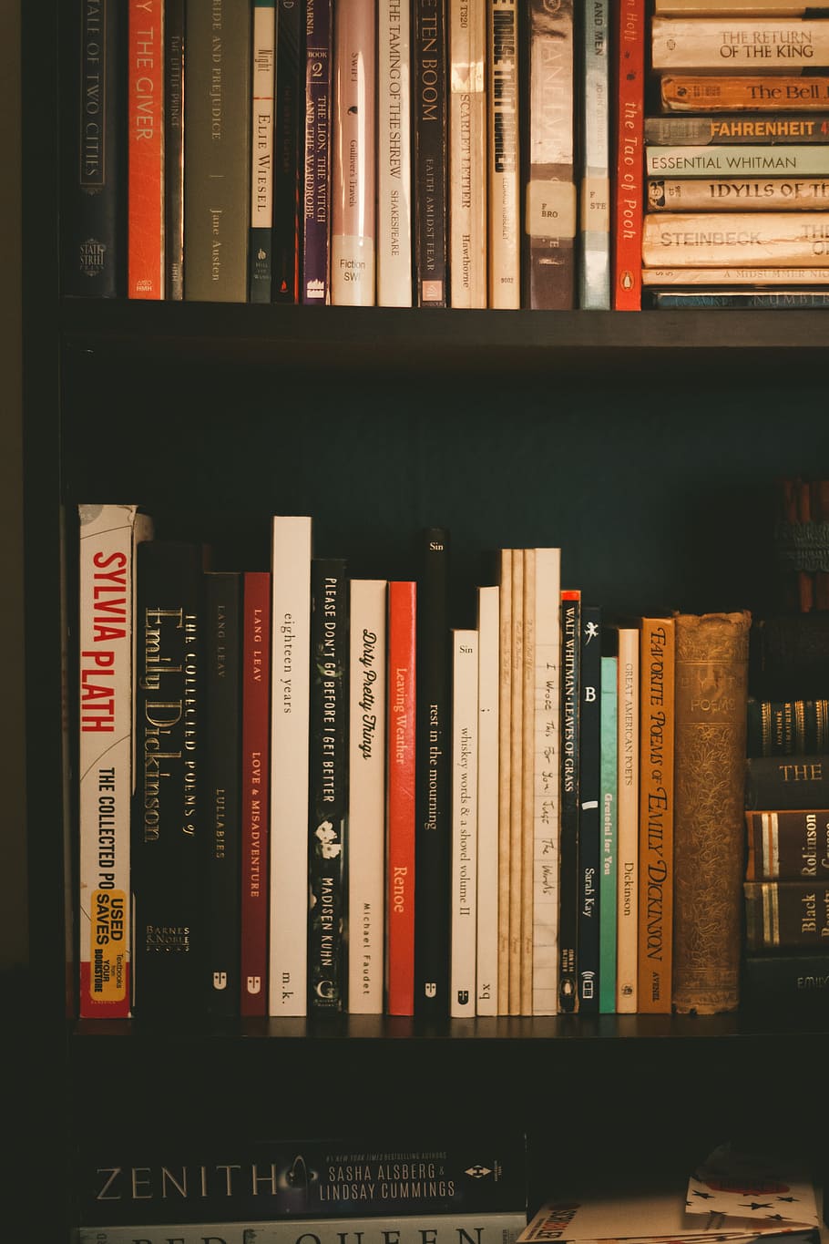 person taking photo of book lot, shelf, shelving, reading, literature HD wallpaper