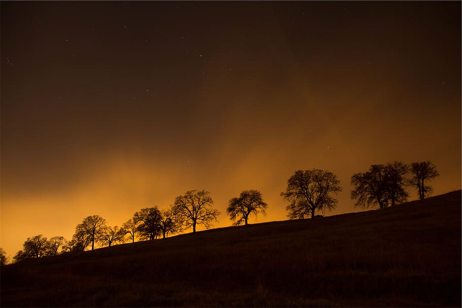 trees, silhouette, night, dusk, sky, stars, plant, beauty in nature HD wallpaper