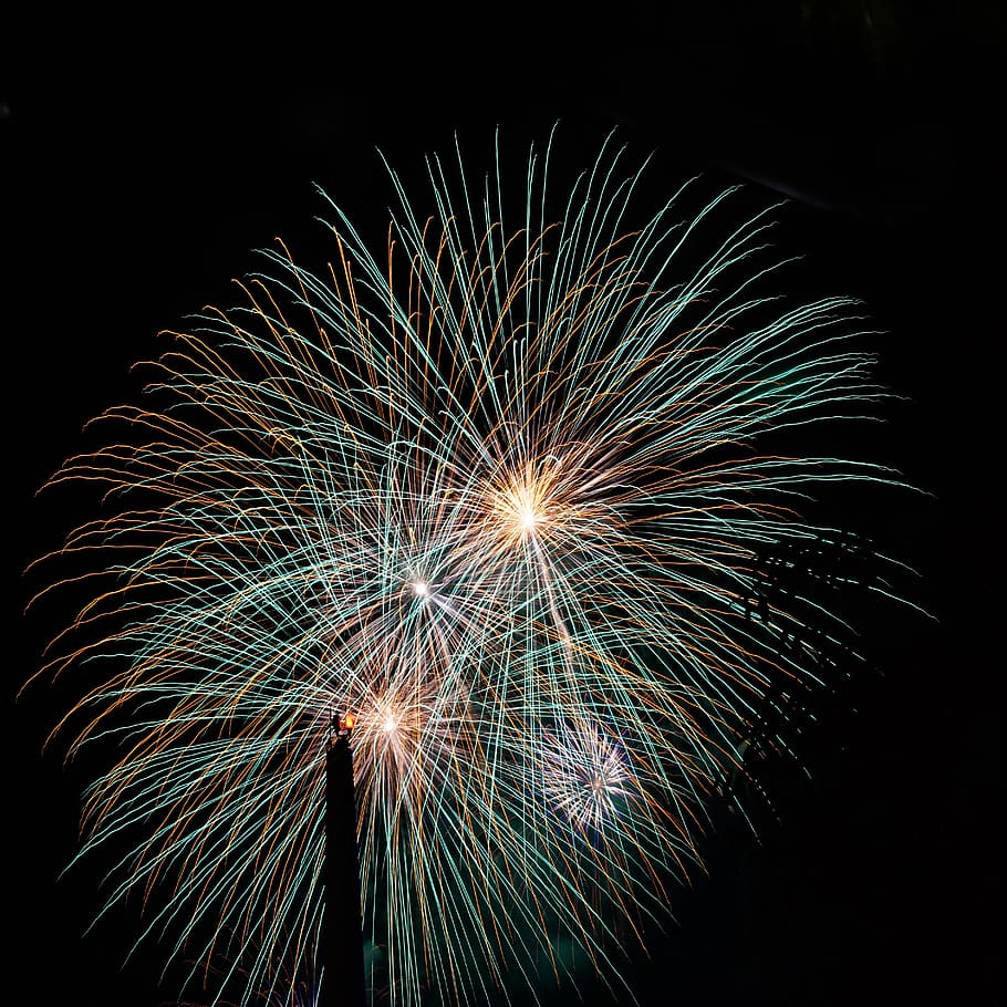 fireworks display, nature, outdoors, night, plant, night life HD wallpaper