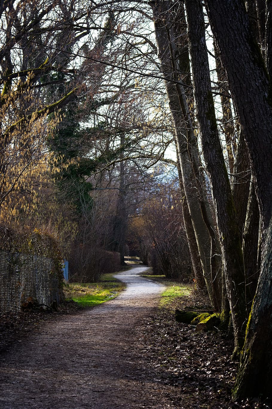 away, path, spring, autumn, trail, avenue, forest path, mood HD wallpaper