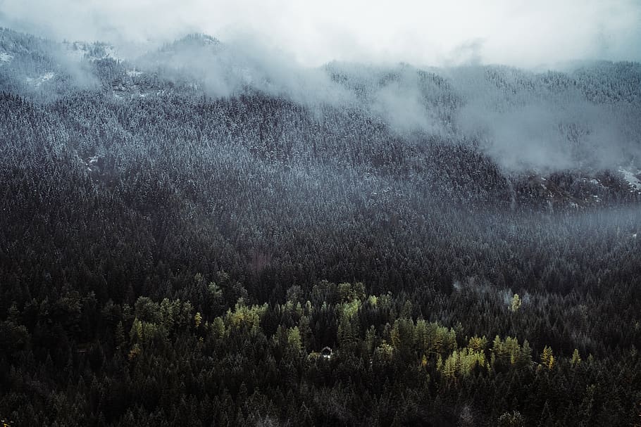 cascade range, forest, house, mountains, trees, woods, travel HD wallpaper