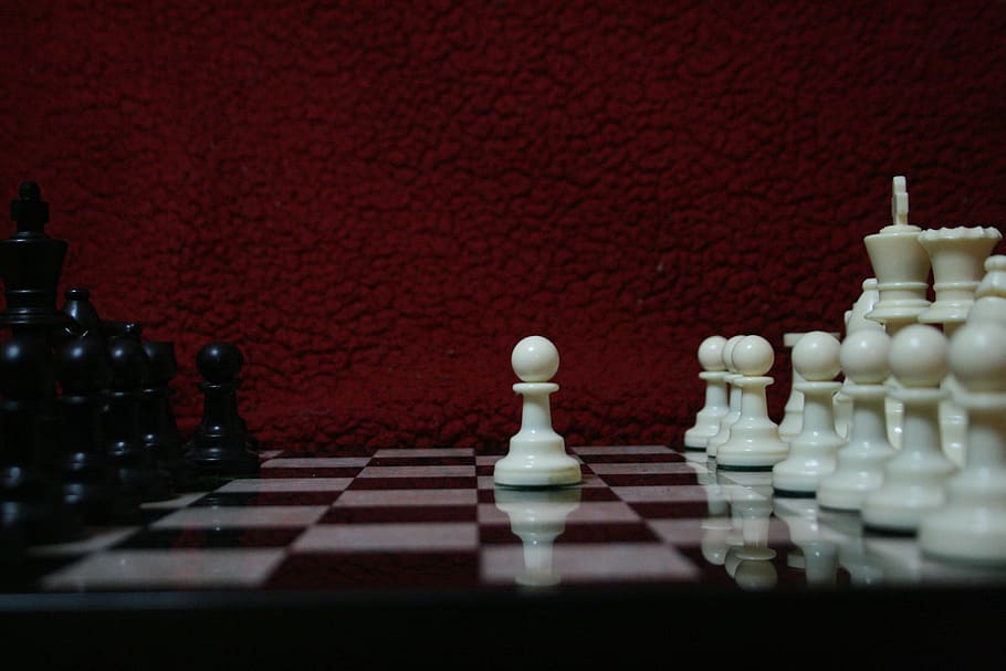 chess, game, strategy, king, challenge, play, think, white, HD wallpaper
