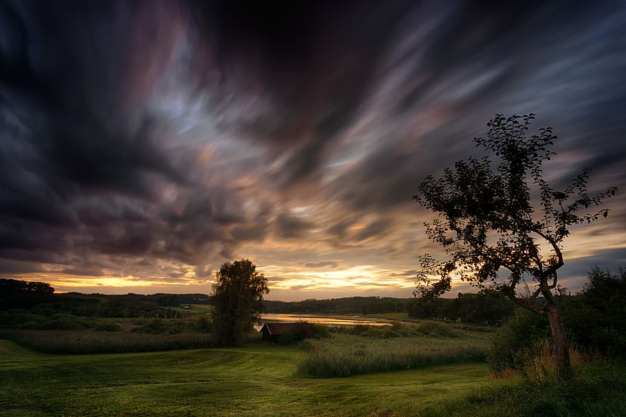 sunset, nature, tree, sky, landscape, twilight, clouds, storm HD wallpaper