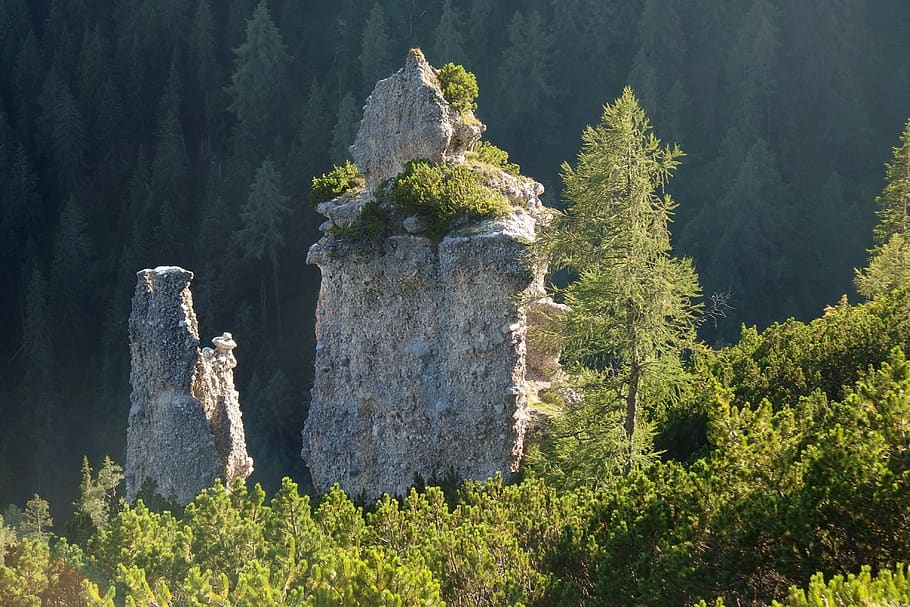 rocks, forest, tree, landscape, nature, summer, light, travel HD wallpaper