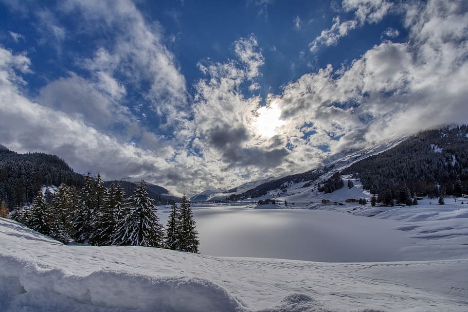 trees and snow during daytime, plant, ice, nature, outdoors, mountain HD wallpaper