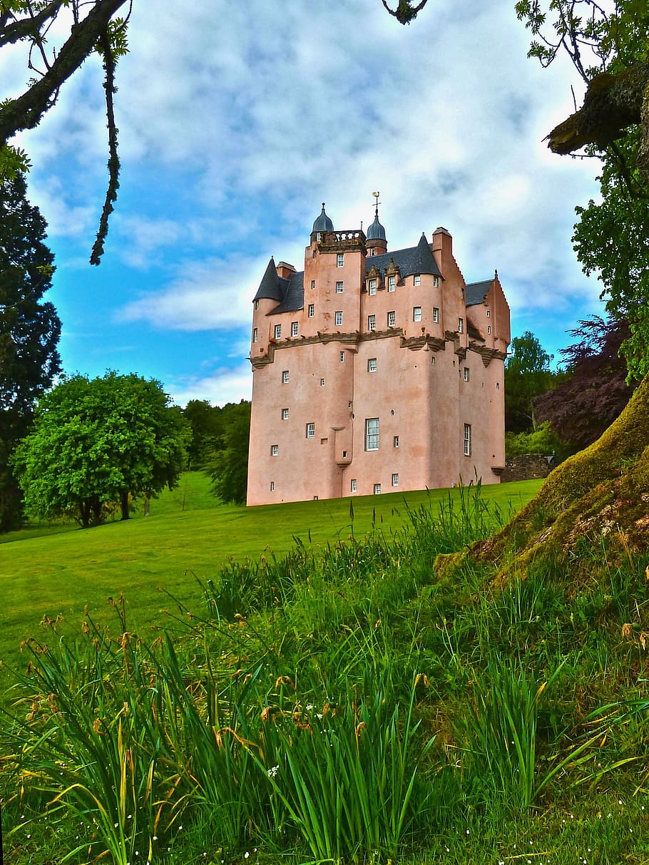 castle, fortification, pink, towers, palace, architecture, plant HD wallpaper