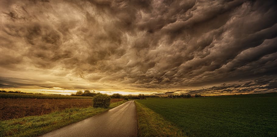 Road In Between Grass Field Under Grey Sky, clouds, dark, dawn HD wallpaper