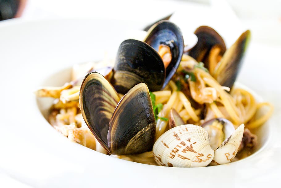 Seashell Dish, bivalve, Clam, crustacean, cuisine, delicious, HD wallpaper