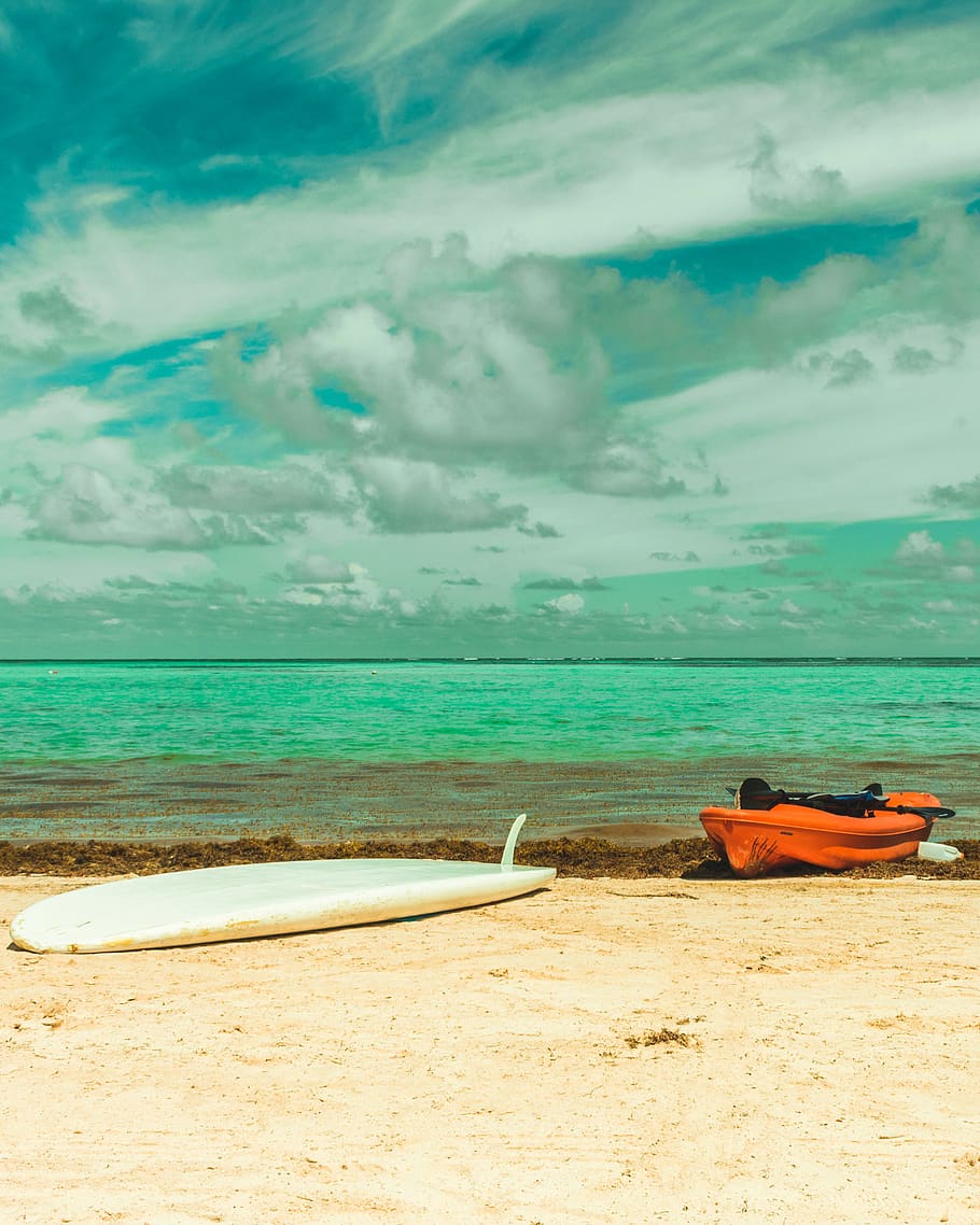 dominican republic, ocean, surf board, punta cana, seaweed, HD wallpaper
