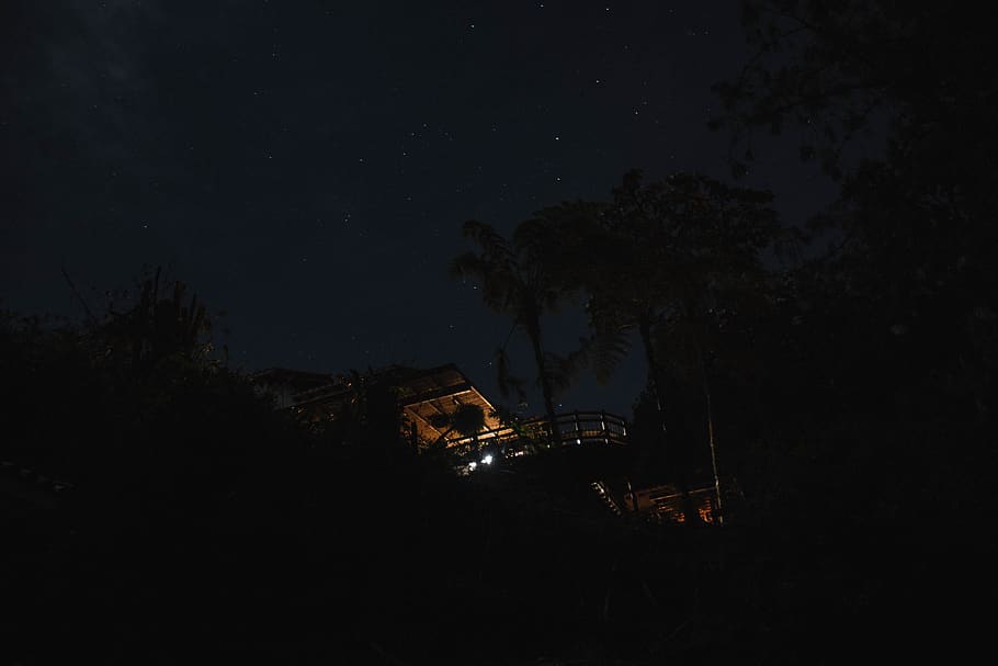 house beside trees during nighttime, night life, urban, city HD wallpaper