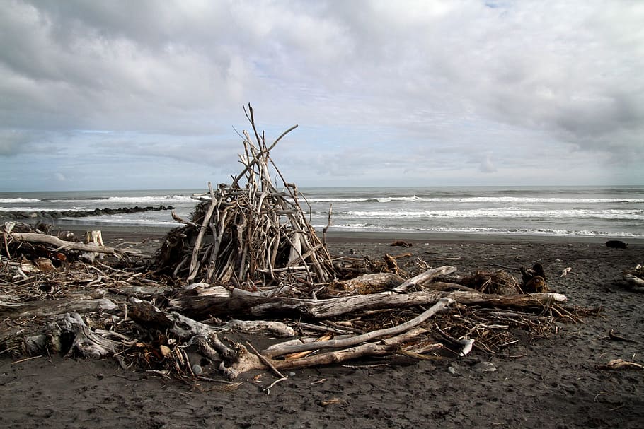 HD wallpaper: new zealand, hokitika, beach, ocean, sea, driftwood ...