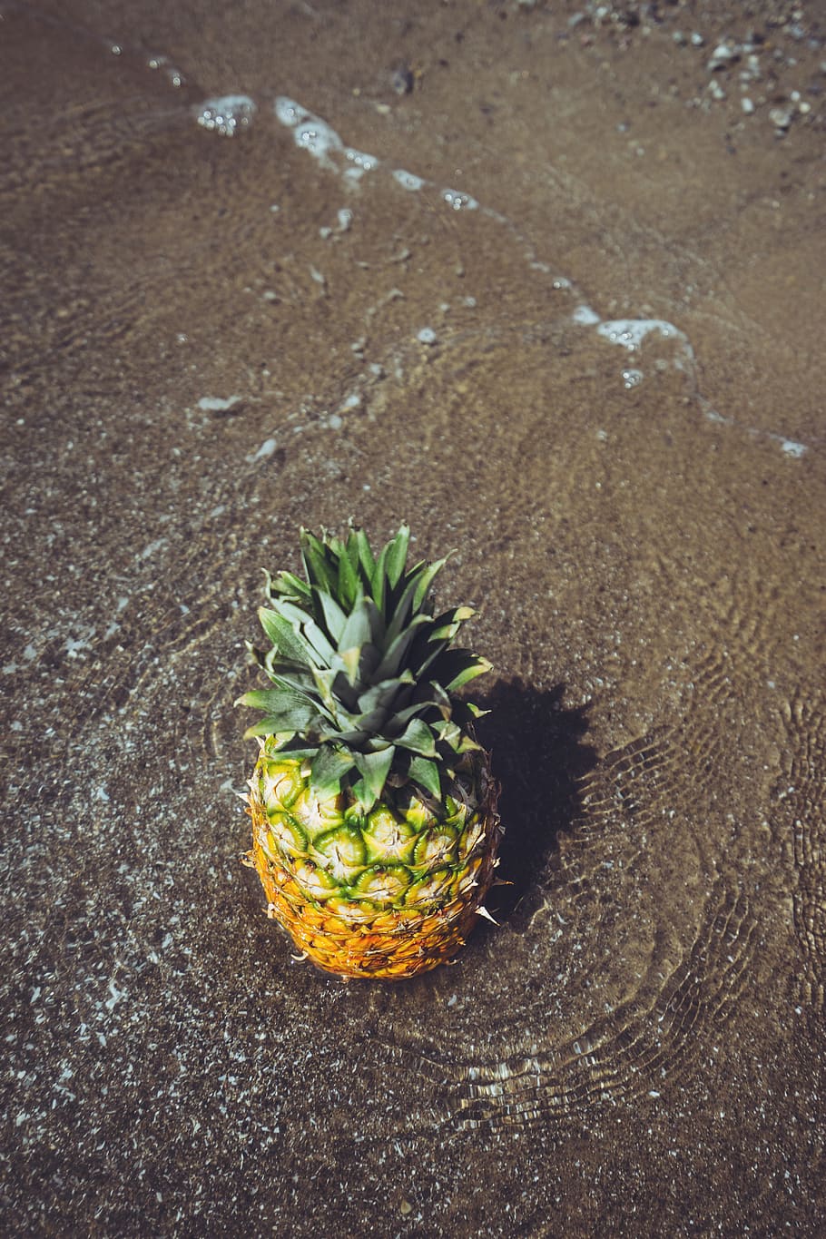 pineapple, fruit, summer, water, beach, sand, shore, tropical HD wallpaper
