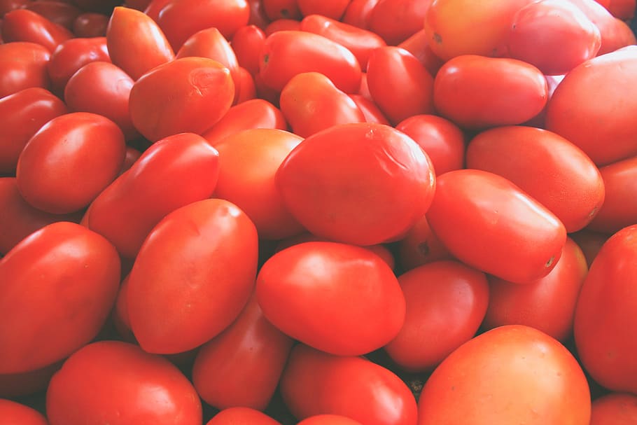 tomatoes, red, vegetable, freshness, food and drink, large group of objects HD wallpaper