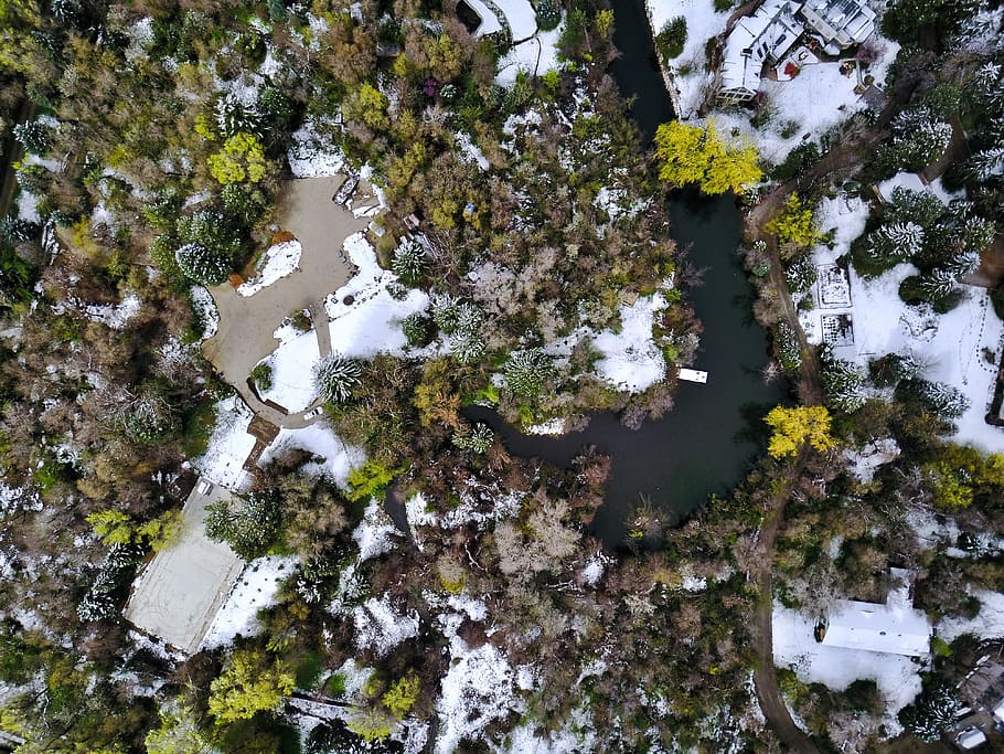 green, plants, trees, aerial, view, river, water, snow, winter HD wallpaper