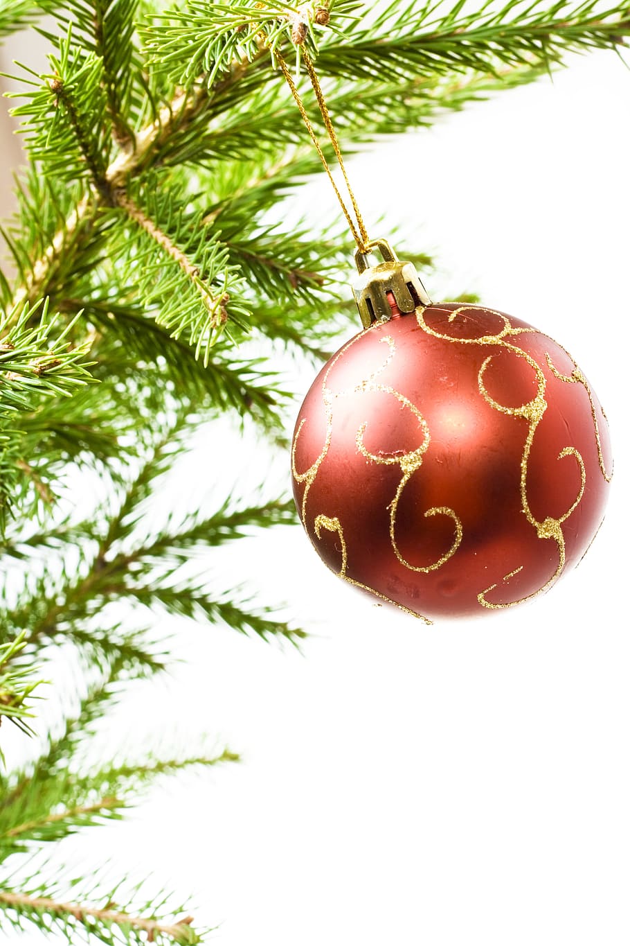 ball, branch, tree, ornament, red, green, pine, spruce, white HD wallpaper