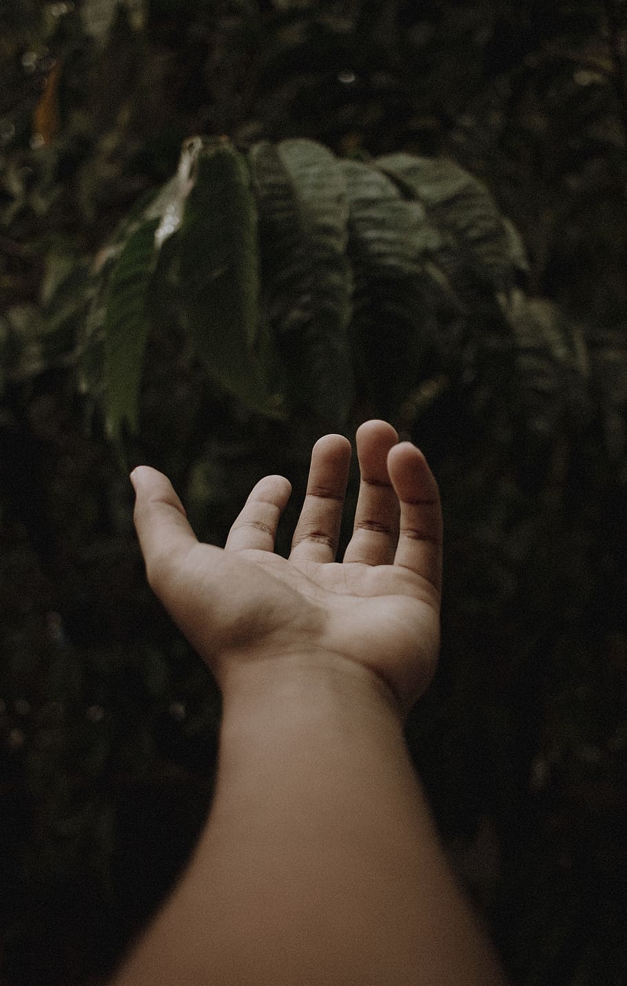 Left Hand, skin, human body part, human hand, real people, personal perspective HD wallpaper