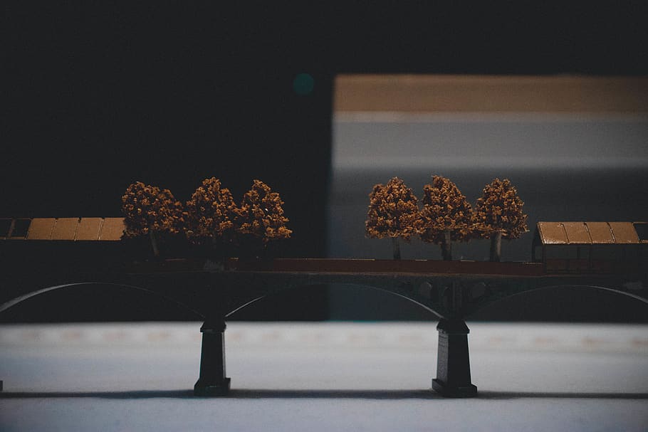 brown trees miniature, venice, nature, wood, outdoors, biennale di venezia HD wallpaper