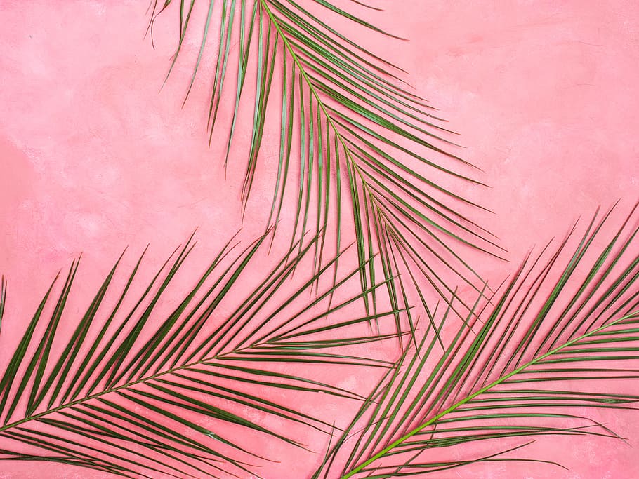 296926054  Alfresco Pink Tropical Palm Wallpaper  by AStreet Prints