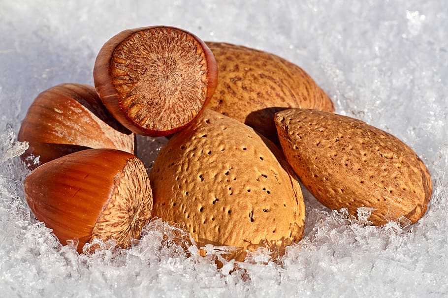 nuts, snow, hazelnuts, almonds, winter, christmas time, nature HD wallpaper