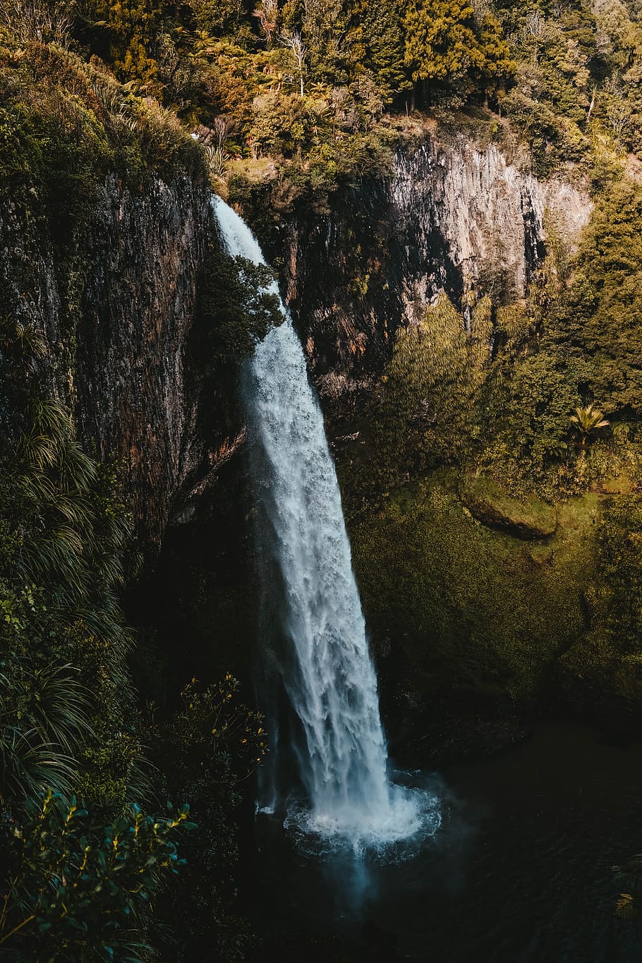 water flowing in falls, waterfall, forest, cliff, rock, river, HD wallpaper