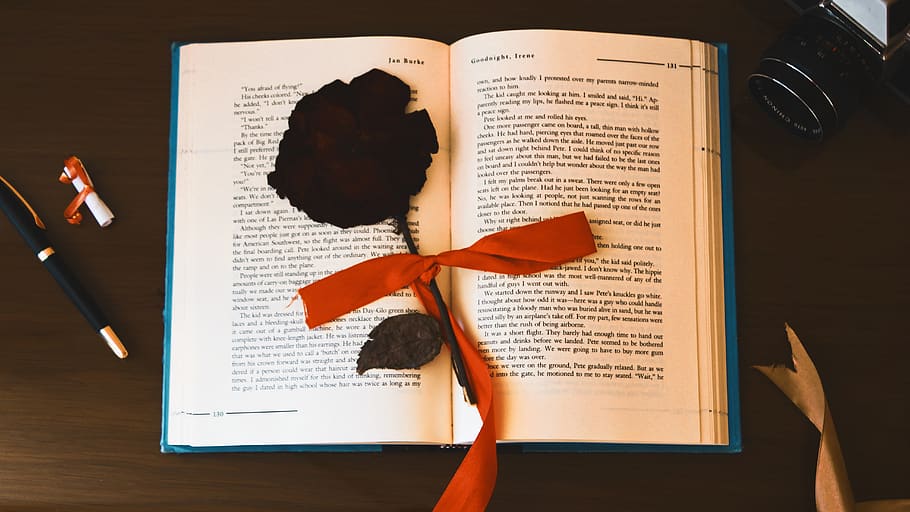 book, page, text, pen, flower, paper, love, old, present, camera HD wallpaper
