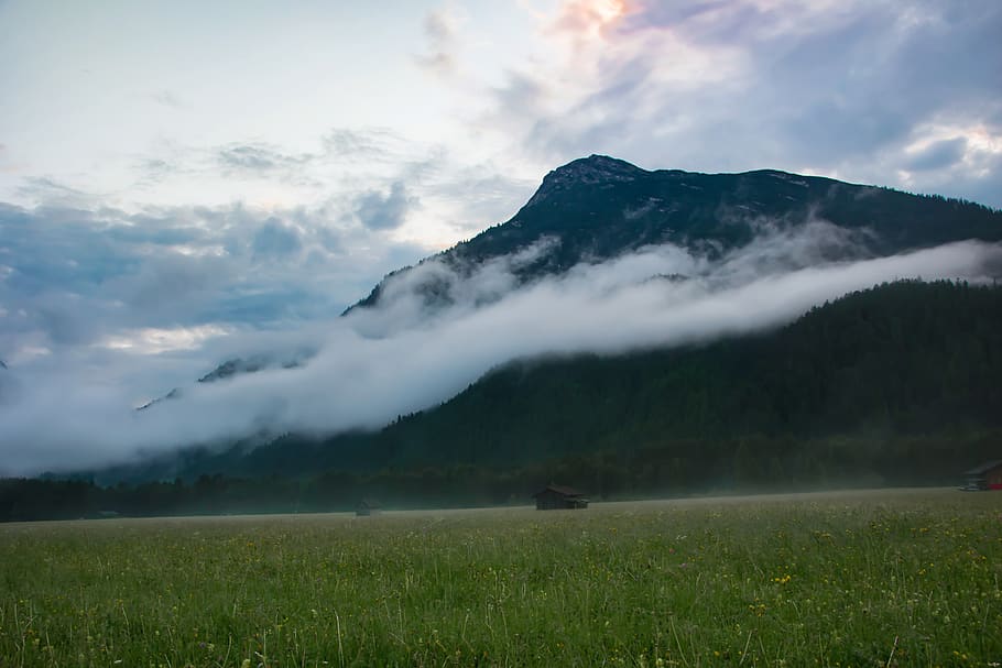 fog, alps, field, austria, beauty in nature, scenics - nature HD wallpaper