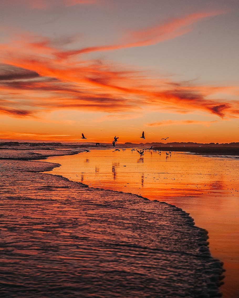 argentina, claromeco, sunset, water, sky, orange color, sea HD wallpaper