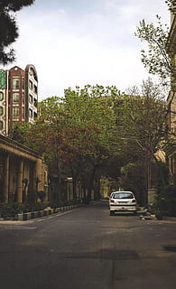tehran, iran, farmanieh, spring, tree, street, transportation HD wallpaper
