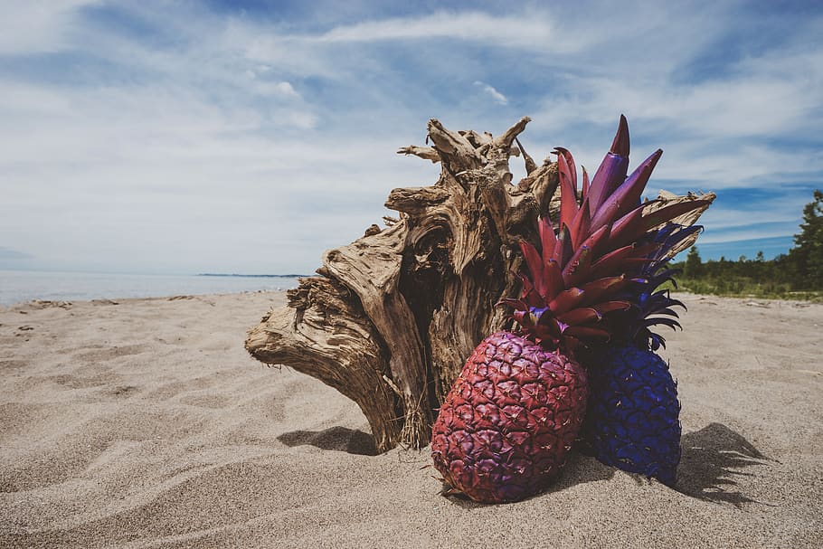 fruit, pineapple, plant, food, wood, canada, port burwell, port burwell provincial park HD wallpaper