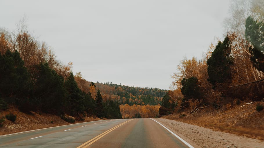 trees along road, canada, ontario, highway, gravel, dirt road HD wallpaper
