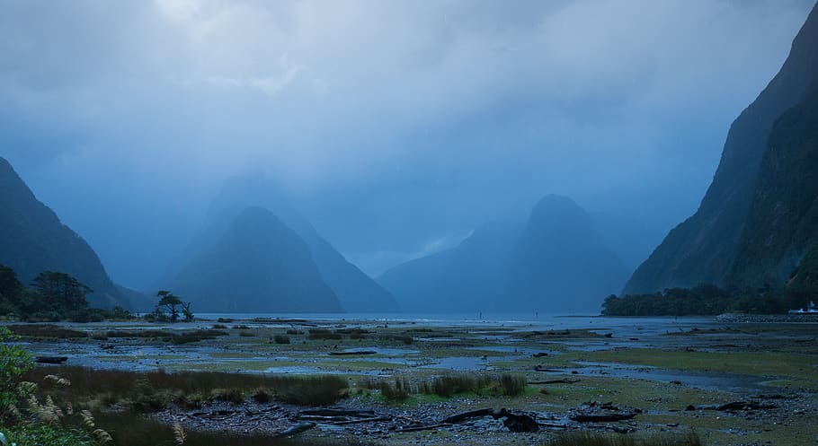 new zealand, milford sound, milford sounds, water, scenics - nature, HD wallpaper