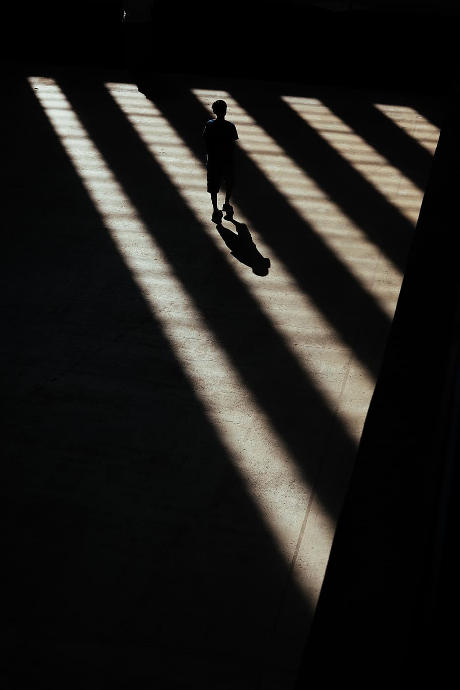 person inside building, shadow, sunlight, one person, nature HD wallpaper