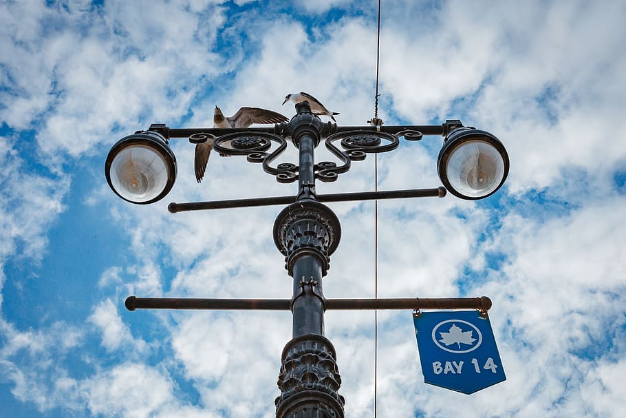light post, light bulb, seagulls, sky, blue sky, clouds, cloud - sky HD wallpaper