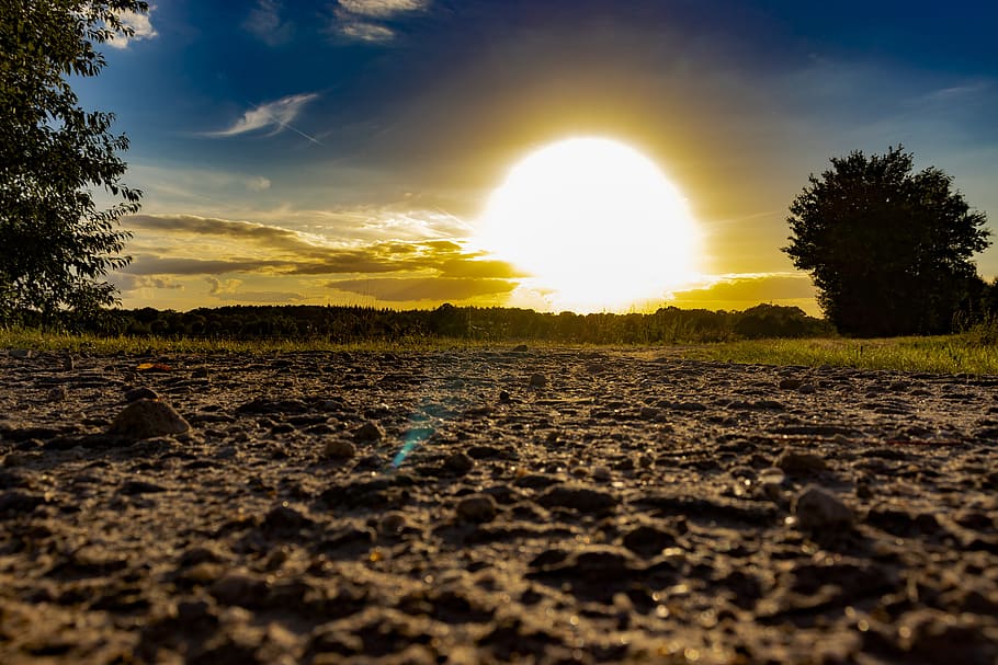 landscape, sun, sky, germany, tree, plant, sunlight, nature HD wallpaper