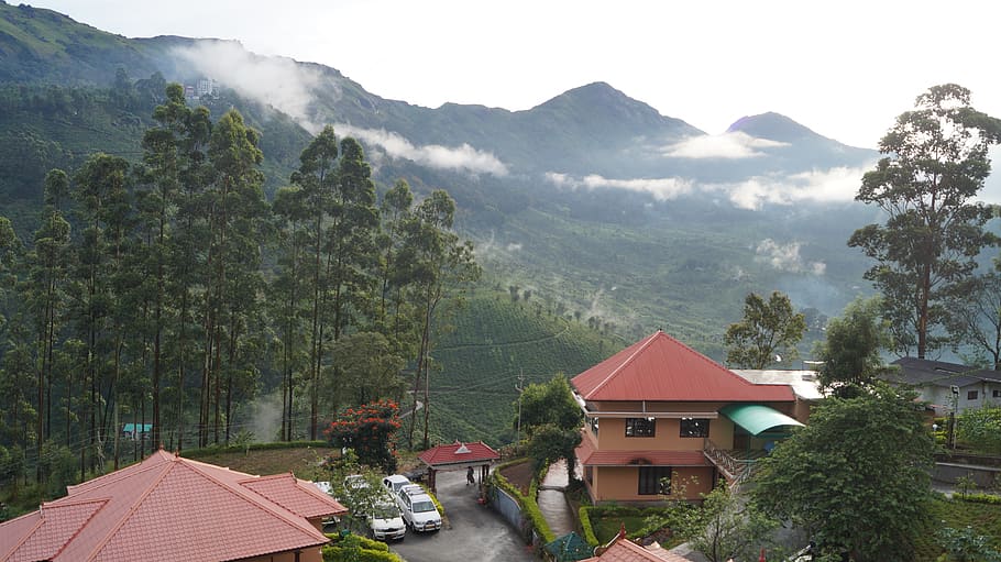 india, munnar, tree, cloud, cloudy, tourism, travel, hill, restaurant HD wallpaper