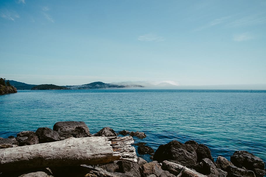 sky, blue, water, clear, islands, rocks, branch, sea, scenics - nature HD wallpaper