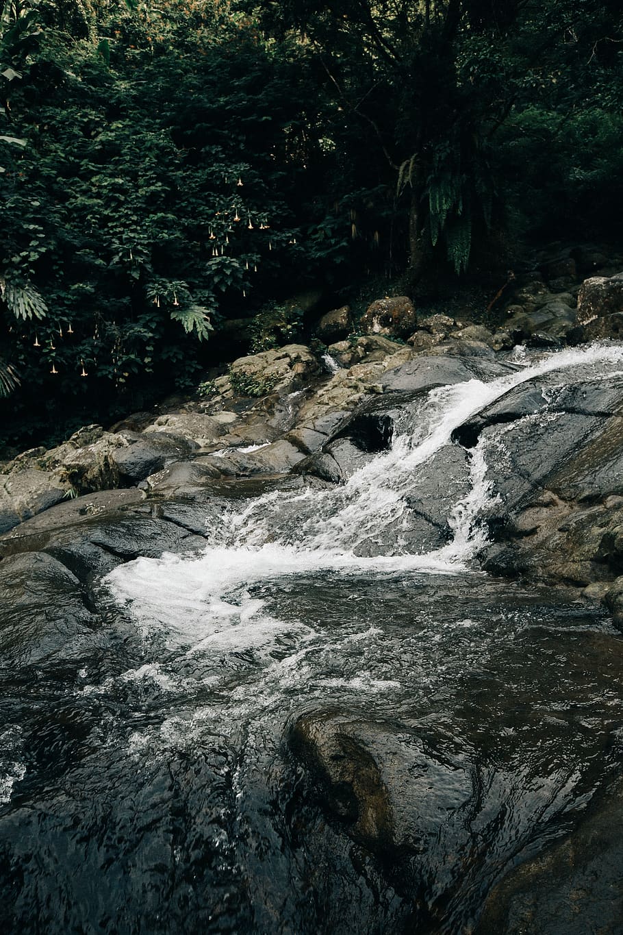 river, flow, forest, water, tree, rock, valley, nature, natural HD wallpaper