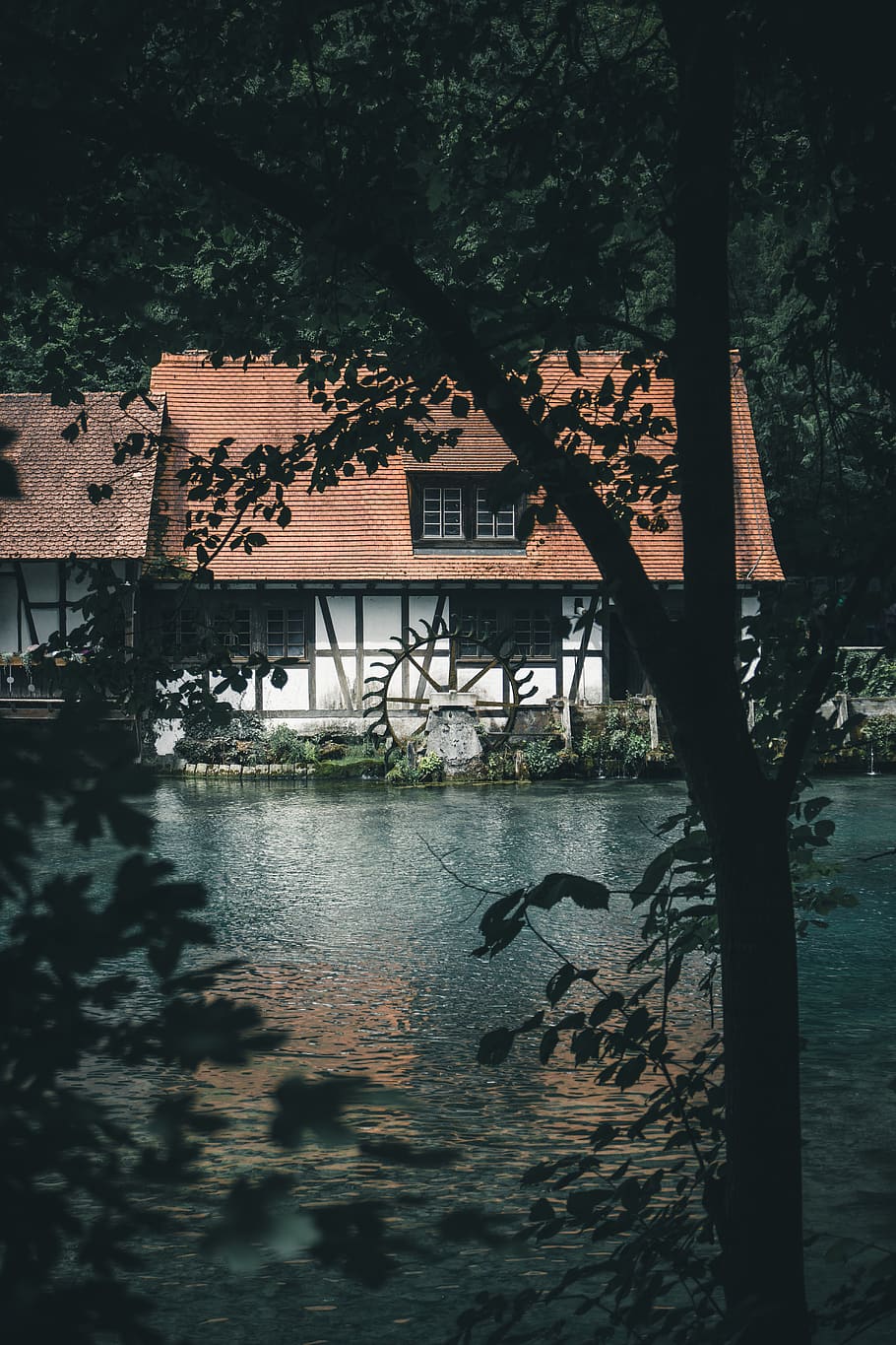 river between house and trees, building, germany, blautopf, blaubeuren HD wallpaper