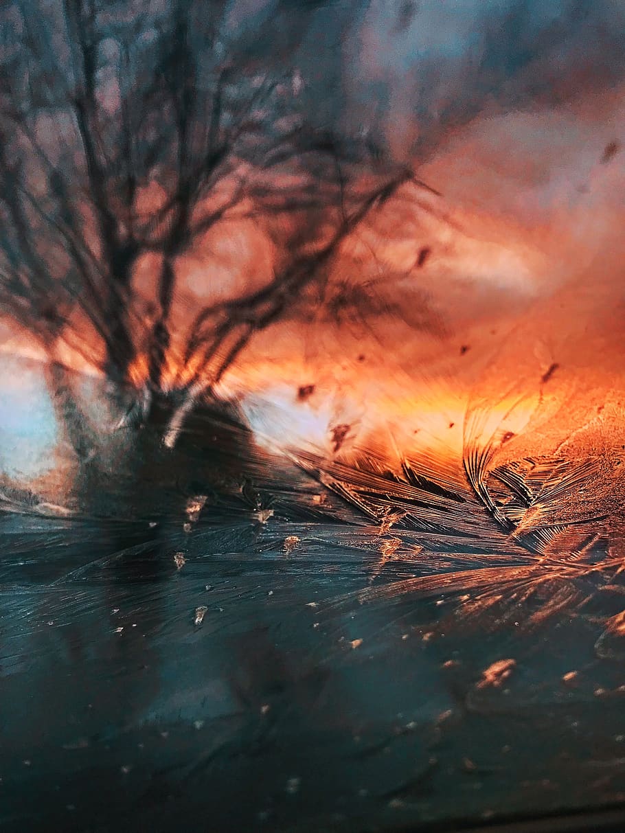 frozen glass window, tree, sunset, nature, sky, plant, beauty in nature HD wallpaper