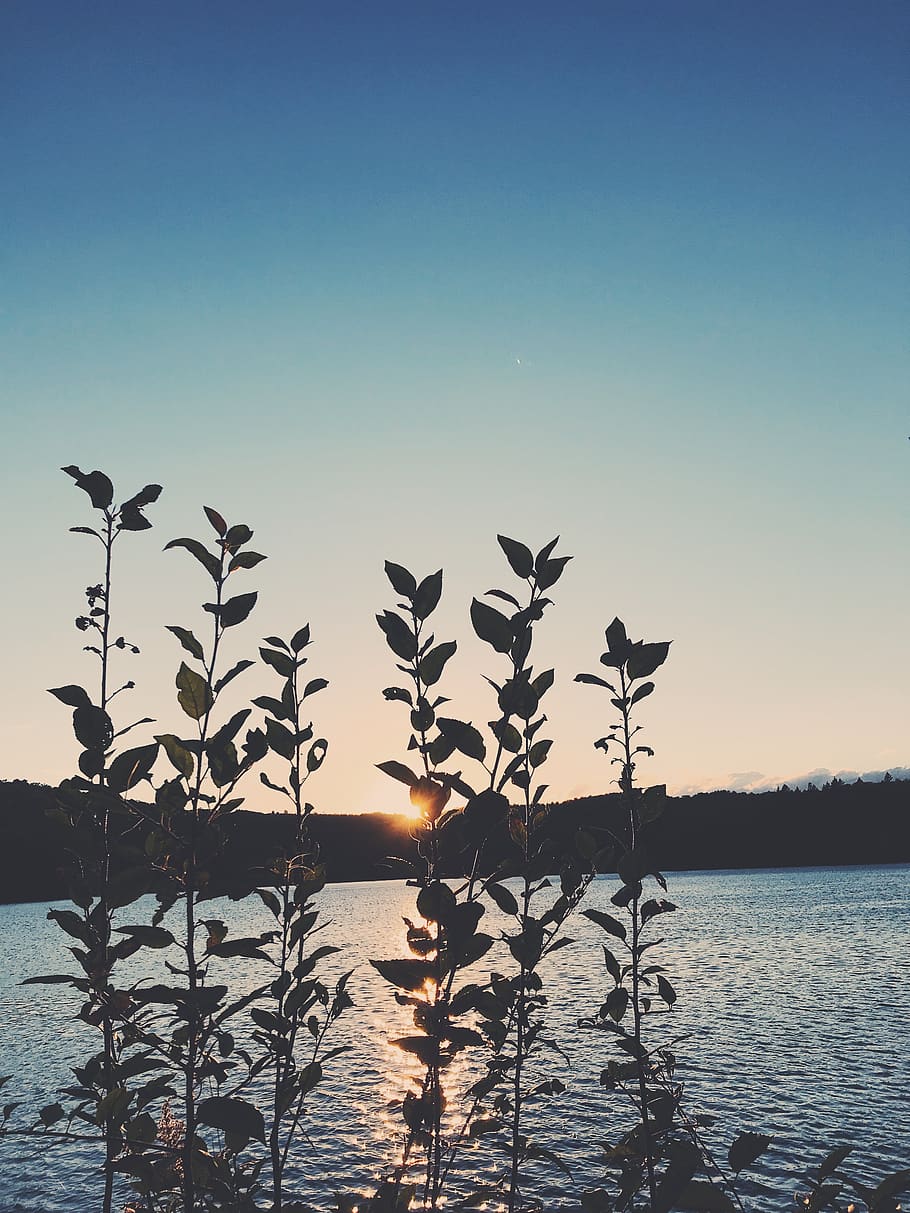 canada, chemin white, water, sky, beauty in nature, tranquility HD wallpaper