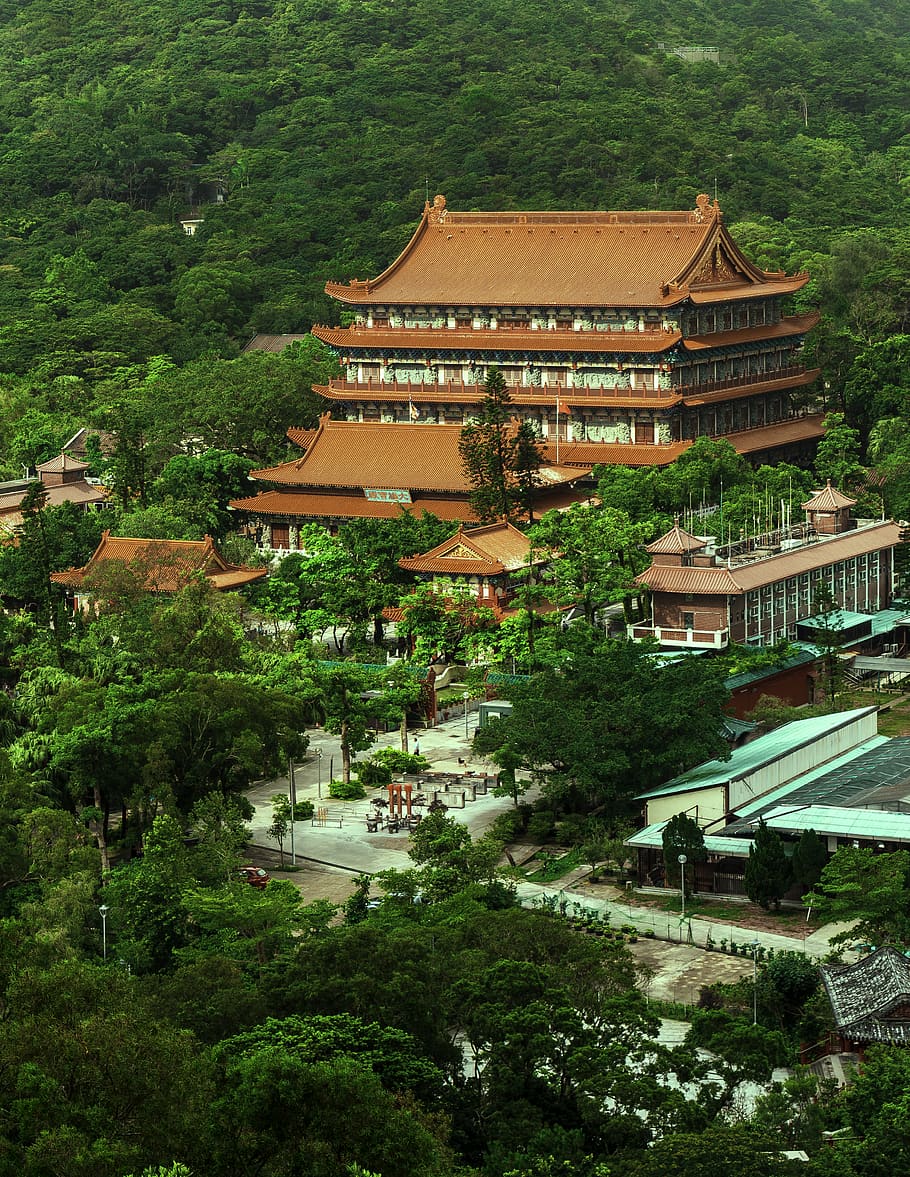 hong kong, po lin monastery, lantau, isla, discover, travel, HD wallpaper