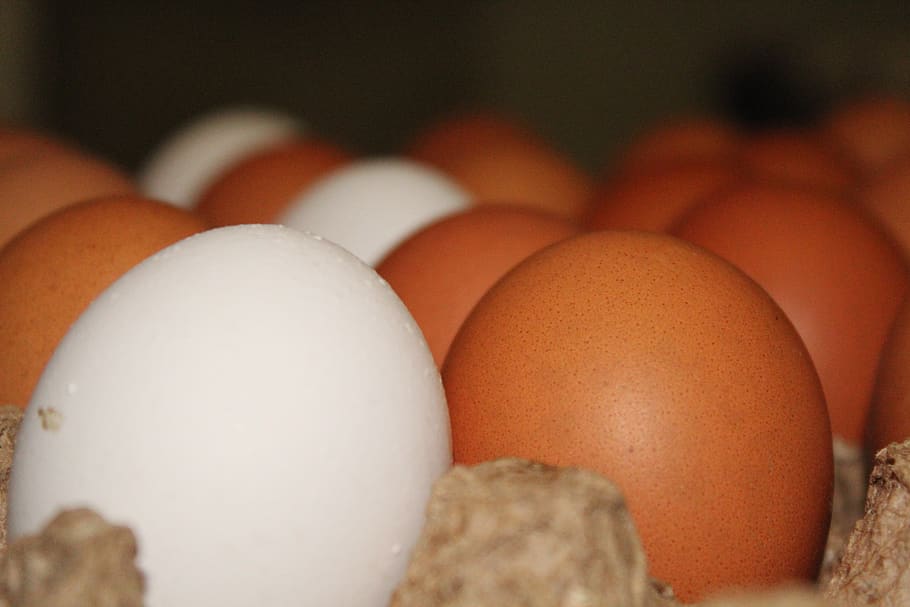 eggs, chicken, food, nutrition, easter, there are, spring, white HD wallpaper