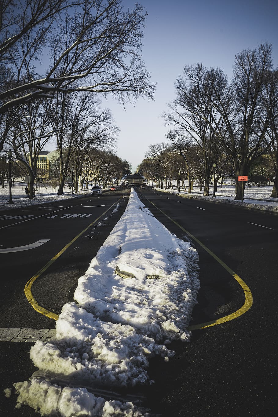 bare trees near road, transportation, snow, plant, winter, no people HD wallpaper