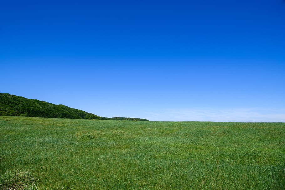 万年山, sky, grass, landscape, environment, blue, scenics - nature HD wallpaper