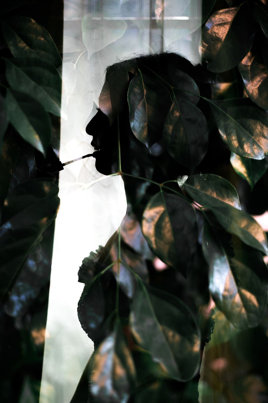 dressing, wedding, leaf, plant part, close-up, nature, no people HD wallpaper