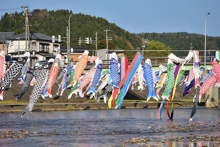 natural, landscape, sky, mountain, river, houses, wind, carp streamer HD wallpaper