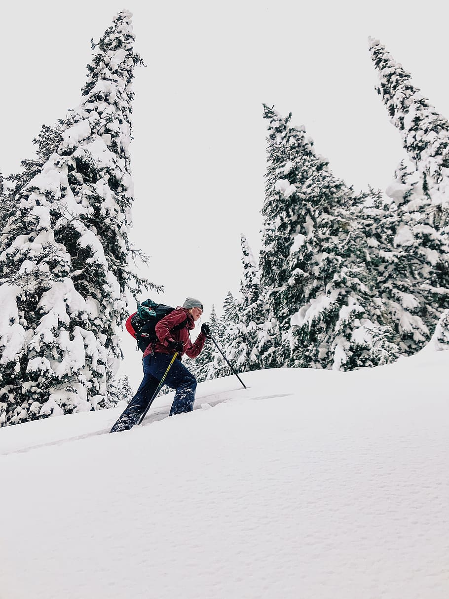man on snow, pine, tree, person, hat, backpack, ski, jacket, hiking