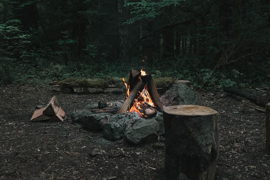 bonfire in forest, log, firepit, camping, outdoors, rock, woodland, HD wallpaper