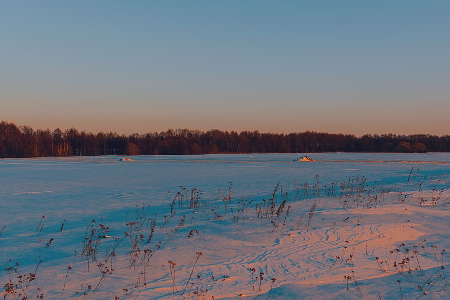 Snowfield, cold, dawn, daylight, frost, weather, winter, cold temperature HD wallpaper