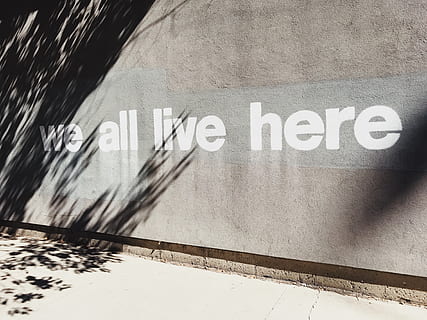 gray wall with we all live here graffiti, chicago, united states HD wallpaper
